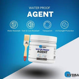 Hydra Sealant Water Proof Agent 300g With Brush - (FREE Delivery)